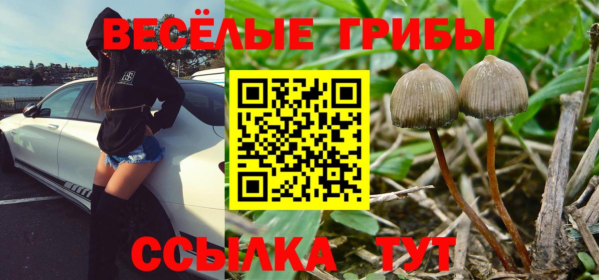 Псилоцибиновые грибы ЛСД Ступино