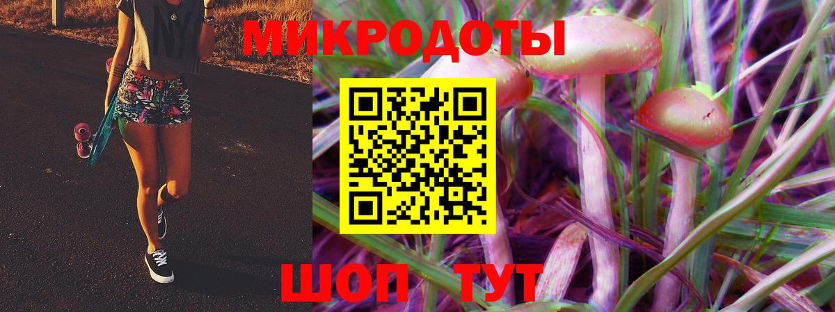 Ступино  Псилоцибиновые грибы Cubensis  Вход с VPN 